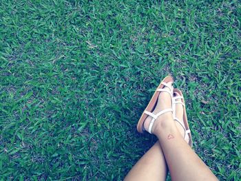 Low section of woman wearing shoes on grass