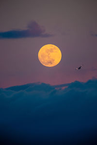 Low angle view of birds flying against sky at sunset