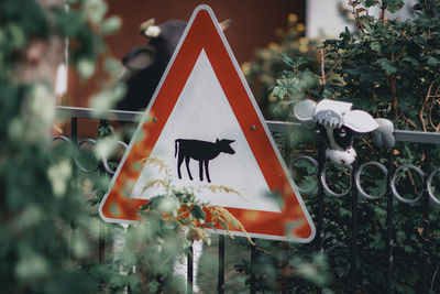 Close-up of christmas decoration
