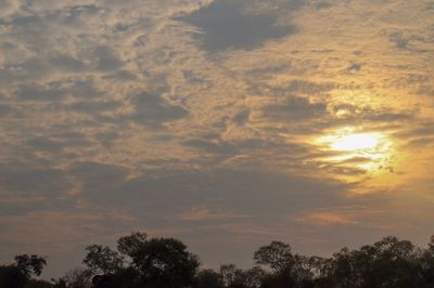 Low angle view of silhouette trees against dramatic sky