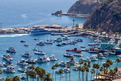 High angle view of boats moored in harbor