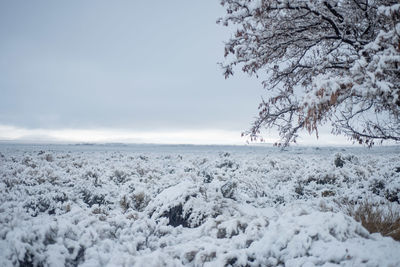 Scenic view of snowcapped landscape against sky