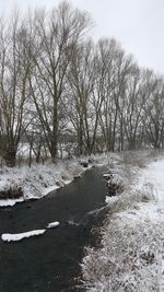 Scenic view of trees against sky