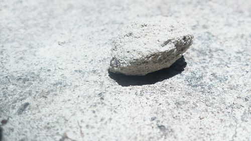 Close-up of wet shore