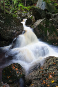 Scenic view of waterfall in forest