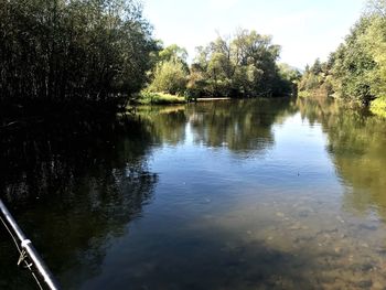 Scenic view of lake in forest against sky