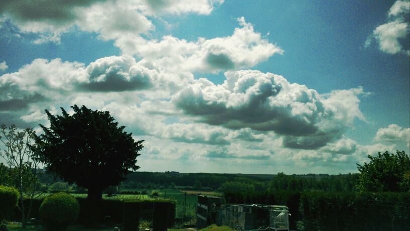 sky, cloud - sky, tranquil scene, tree, tranquility, scenics, cloudy, beauty in nature, nature, landscape, field, cloud, growth, grass, green color, idyllic, plant, rural scene, day, outdoors