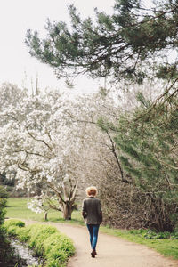 Rear view of woman standing on grass