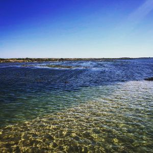 Scenic view of sea against clear blue sky