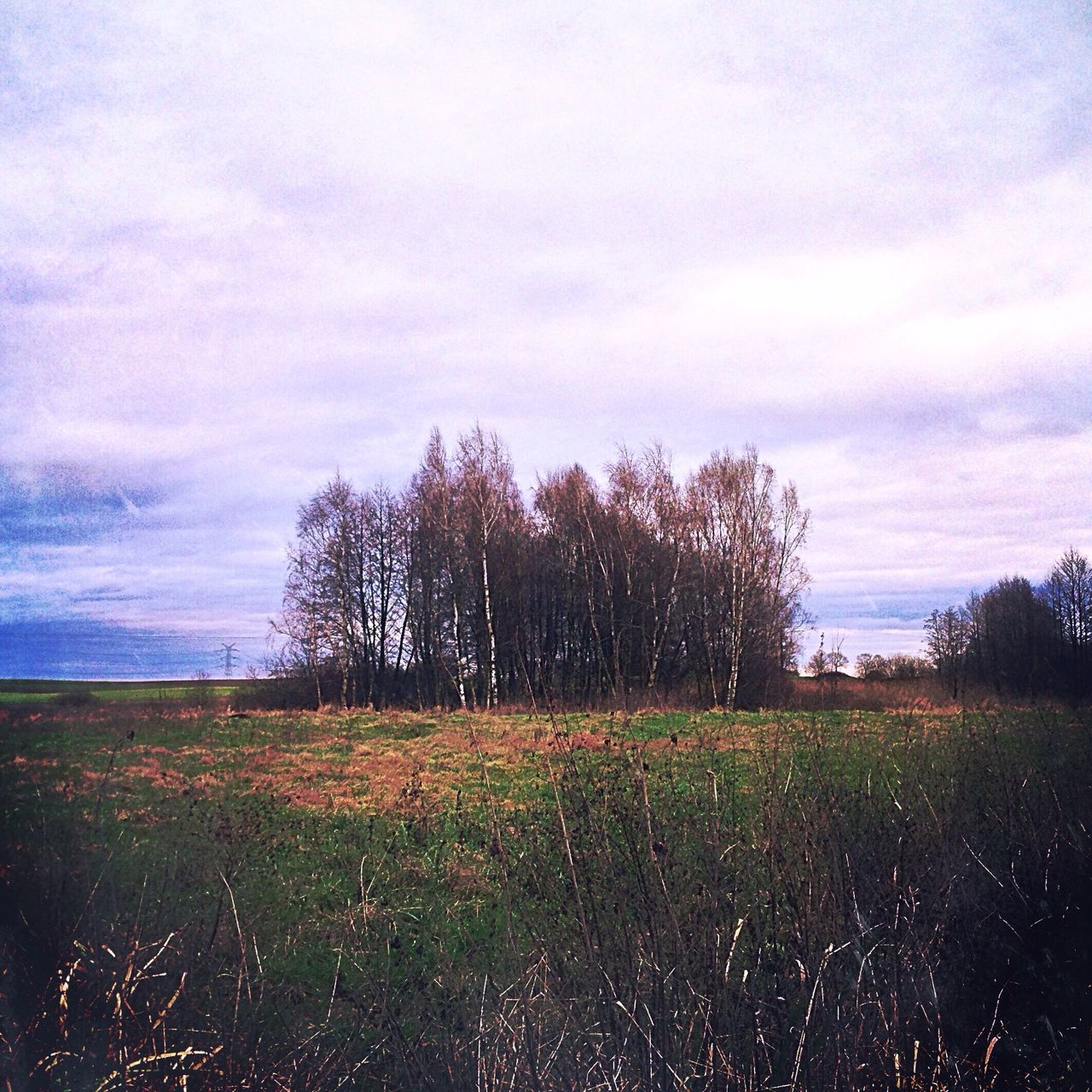 sky, field, landscape, tranquil scene, tranquility, tree, scenics, cloud - sky, beauty in nature, grass, nature, rural scene, growth, cloud, silhouette, bare tree, cloudy, grassy, non-urban scene, idyllic