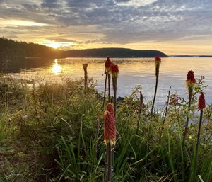 Scenic view of lake against sky during sunset