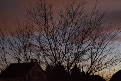 Silhouette bare trees against sky during sunset