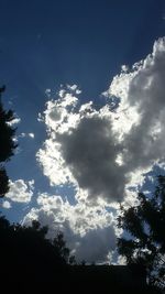 Low angle view of tree against cloudy sky