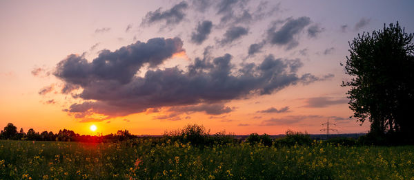 Scenic view of field against sky during sunset