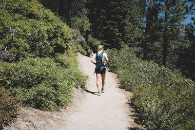 Rear view of woman walking on footpath amidst trees in forest