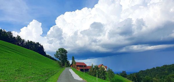 Panoramic shot of trees and buildings against sky