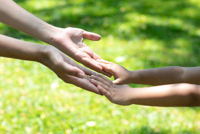 Cropped image of people hand against grass