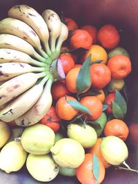 Close-up of fruits