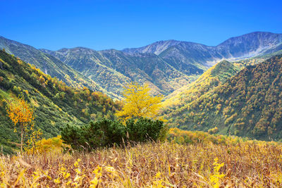 The autumn in the mountains. beautiful autumn view of kamchatka peninsula