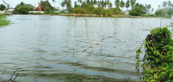 Scenic view of lake