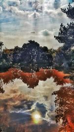 Reflection of trees in water