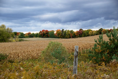 Scenic view of field against cloudy sky