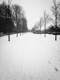 Bare trees on snow covered landscape