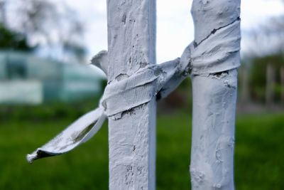 Close-up of wooden post hanging from metal fence