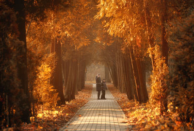 Rear view of man walking in forest during autumn