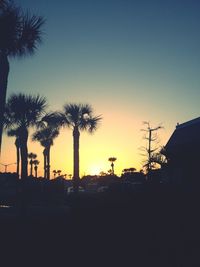 Silhouette palm trees at sunset