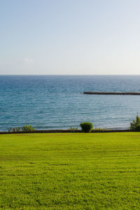 Scenic view of sea against clear sky