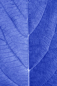 Full frame shot of abstract pattern