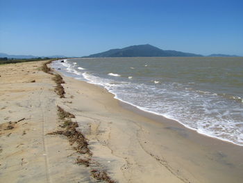 Scenic view of beach against clear sky