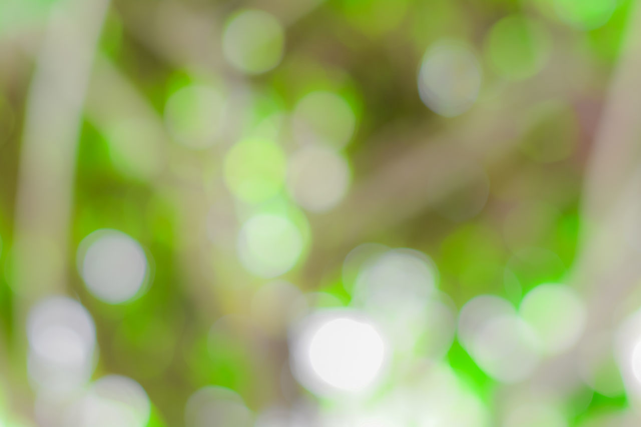 DEFOCUSED IMAGE OF BLURRED PLANTS