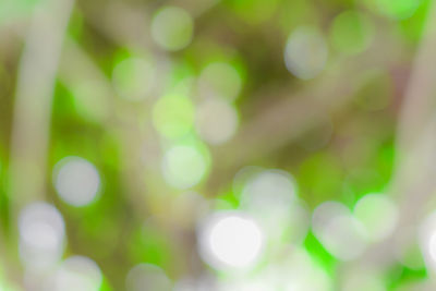 Full frame shot of defocused lights