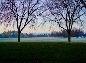 Bare tree on field against sky during winter