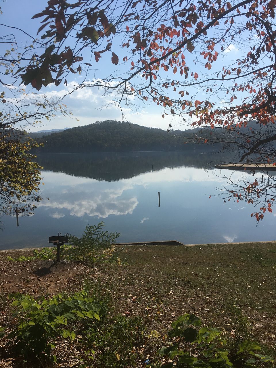 reflection, water, nature, lake, tree, sky, no people, beauty in nature, growth, tranquility, outdoors, scenics, day, plant, sunset