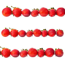 Low angle view of strawberries