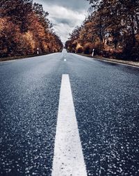 Surface level of road amidst trees against sky