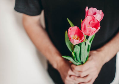 Close-up of hand holding tulips