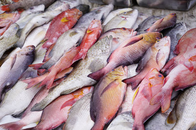 Full frame shot of fish for sale in market