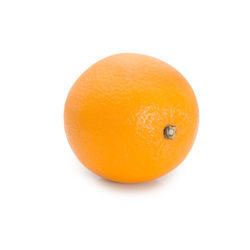 Close-up of orange fruit against white background