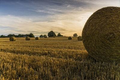 Hay bales on landscape against sky