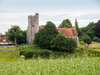 Trees and plants on field against sky