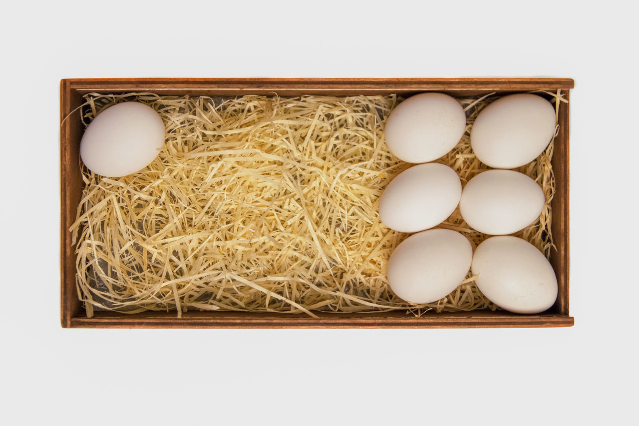 HIGH ANGLE VIEW OF EGGS IN WHITE CONTAINER