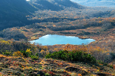 Scenic view of lake in forest during autumn