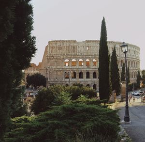 Trees and buildings against sky