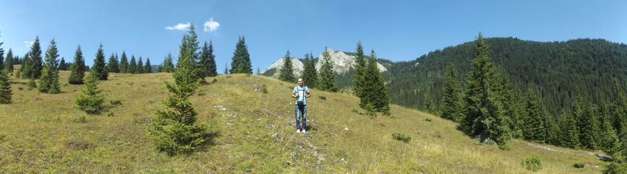 Scenic view of grassy field against sky