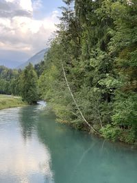 Scenic view of lake in forest against sky