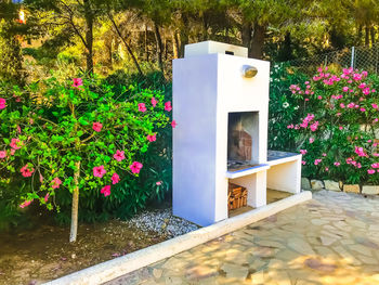 View of flowering plants in park